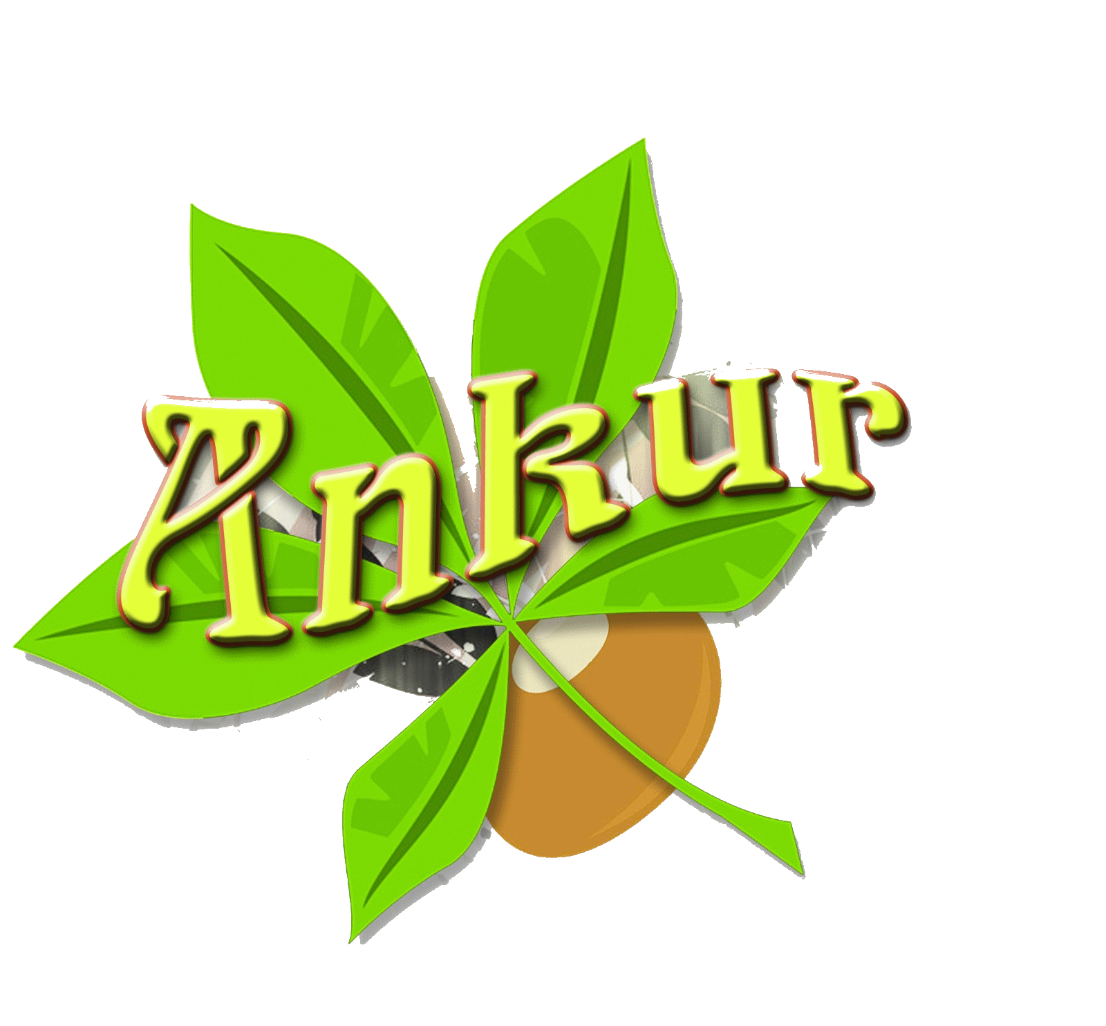 Ankur Inc. Logo